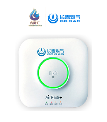 豪运国际报警器（天然气）